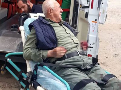 Sakarya'da başıboş köpek dehşeti! Yaşlı adam feci şekilde yaralandı