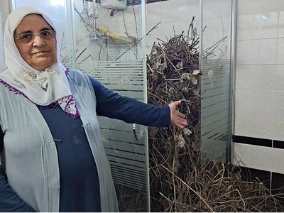 Sakarya'da iki yıl aradan sonra eve giren aile manzara karşısında şaşkına döndü!