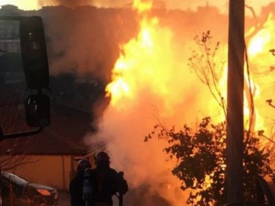 Sakarya'da Korkutan Yangın