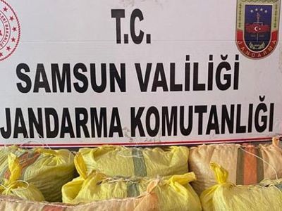 Samsun’da 700 Kilogram Fındık Çalan Şahıs Yakalandı