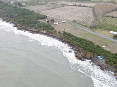 Samsun'da bir mahalle yok olmak üzere: Deniz 150 metre kumsalı yuttu