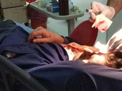 Samsun’da Eşekten Düşen Şahıs Ölümden Döndü