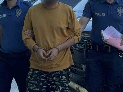 Samsun'da kediye tekme atan şahıs yakalandı