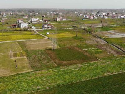 Samsun’da üretilen göl soğanlarından 1 tanesini izinsiz koparana: 112 bin TL ceza kesiliyor!