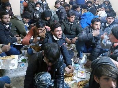 Şanlıurfa'da 82 Göçmen Yakalandı