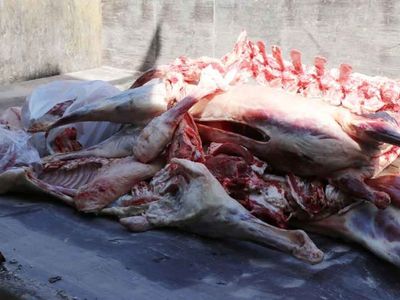 Şanlıurfa’da akıl almaz olay: Satışa hazır 1 ton 250 kilo bozuk et ele geçirildi!