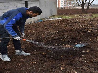 Şanlıurfa'da Genç Girişimci Solucanla Organik Gübre Üretiyor