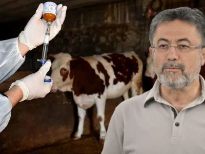 ŞAP AŞILAMASI YÜZDE 85’İ GEÇTİ: 6 İLDE DAHA HAYVAN PAZARLARI AÇILDI