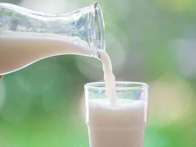 Sarımsak sütle içilir mi, sarımsaklı süt ne işe yarar, kaç gün içilmeli? Astıma karşı savaşan sarımsaklı sütün faydaları