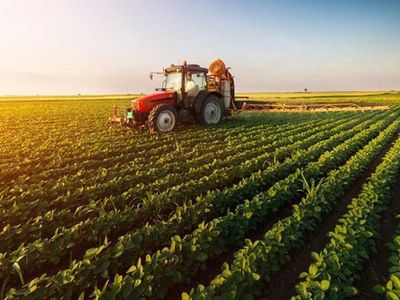 Sebze ve meyvede fahiş fiyat artışının nedenleri açıklandı: Yük çiftçilerde para aracıyla markette