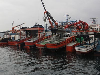Sel felaketinden dolayı hasar gören gemi sahiplerine destek ödemesi Resmi Gazete'de yayımlandı!