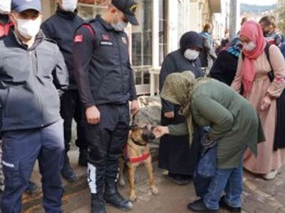 Selde Köpeğini Kaybeden Kadın Arama Çalışmalarını Sürdürüyor