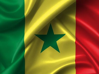 Senegal Bayrağı Anlamı Nedir, Senegal Bayrağı Renkleri Neyi Temsil Ediyor?