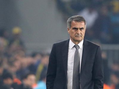 Şenol Güneş Türkiye-Galler Mağlubiyetin Ardından Açıklama Yaptı! 'Skorun Sorumlusu Benim'
