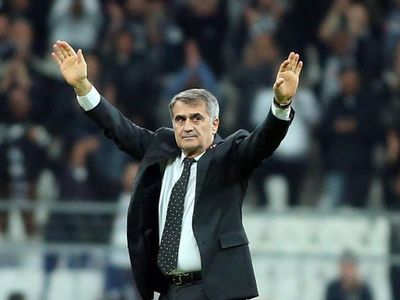 Şenol Güneş'ten Beşiktaş İtirafı!