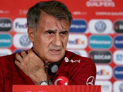 Şenol Güneş'ten Hollanda Maçı Öncesi Açıklamalar