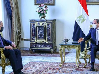 Sergey Lavrov, Sisi ile Bir Araya Geldi