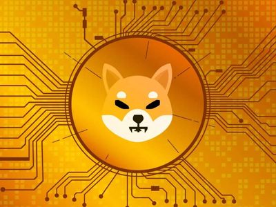 Shiba coin nedir, kaç dolar oldu? Shiba coin alınır mı, geleceği var mı?