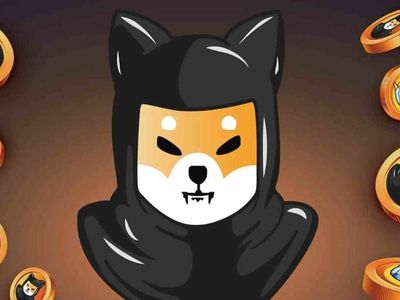 SHINJA coin nedir? Shibnobi coin projesi ve yol haritası