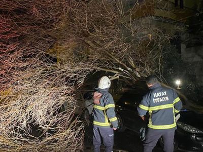Şiddetli Fırtınayla Ağaçlar Araçların Üzerine Devrildi