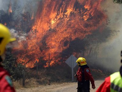 Şili’de orman yangını felaketi: En az 10 kişi hayatını kaybetti