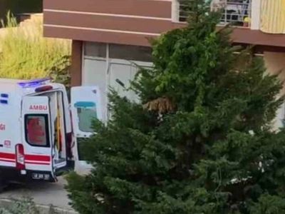 Sinema oyuncusundan acı haber: Merve Kayaalp intihar etti