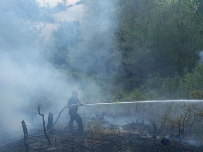 Sinop’ta Orman Yangını: Müdahale Devam Ediyor
