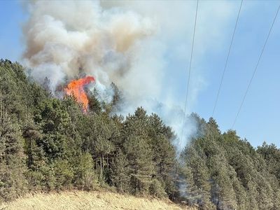 Sinop'ta Orman Yangınına Hızla Müdahale