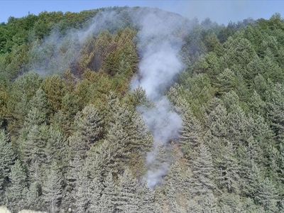 Sinop'taki Orman Yangını Kontrol Altına Alındı