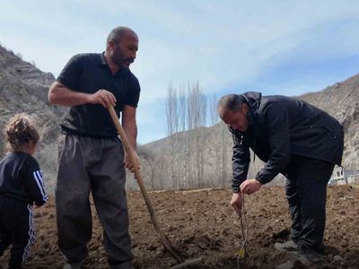 Şırnak’ta 25 Dönüm Arazisinde Devlet Destekli Meyve Bahçesi Kurdu