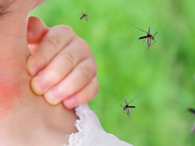 Sıtma tehlikesi: Uzmanlar alarm veriyor! Bu belirtiler sizi uyarıyor mu?