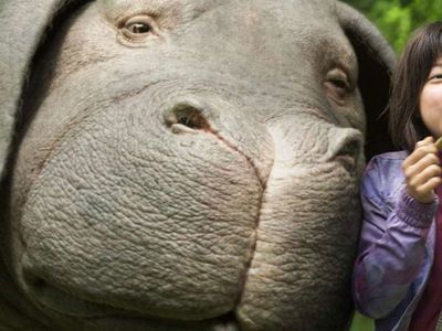 Son 10 Yılın En İyi Doğa Temalı Filmleri