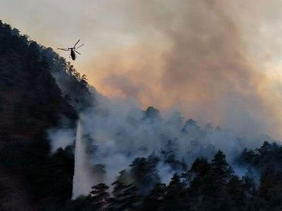Son Dakika: Adana'da Ormanlık Alanda Yangın Çıktı!