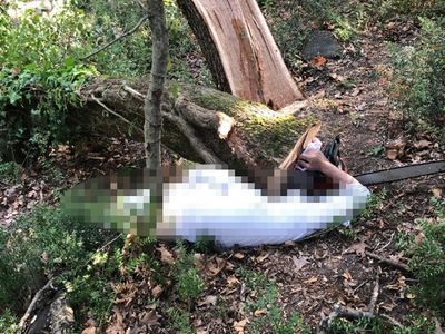 Son Dakika! Ağaç kesimi faciası: Bir kişi hayatını kaybetti