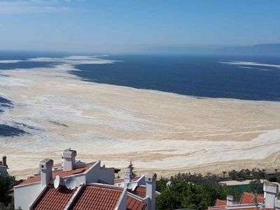 Son dakika: AK Parti müsilaj ile ilgili kanun teklifini TBMM Başkanlığı'na sundu!