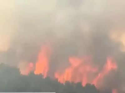 Son Dakika: Ankara Kızılcahamam'da Orman Yangını Çıktı!
