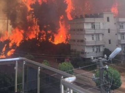 Son Dakika: Antalya Manavgat Cayır Cayır Yanıyor! Alevler Şehir Merkezine İndi