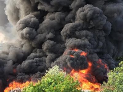 Son Dakika: Antalya'da Korkutan Orman Yangını Çıktı