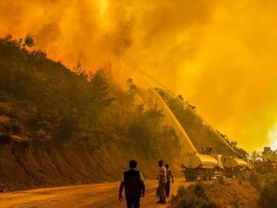 Son Dakika! Antalya'da Orman Yangını Çıktı