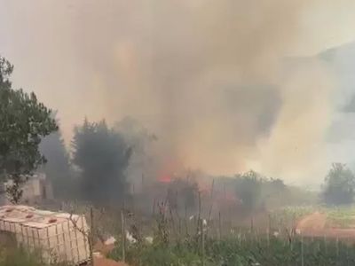 Son Dakika: Beykoz’da korkutan orman yangını, ekipler müdahale ediyor