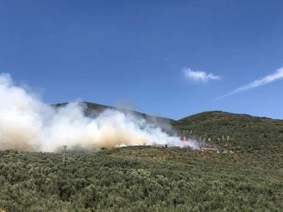 Son Dakika: Bursa'da Ormanlık Alanda Yangın