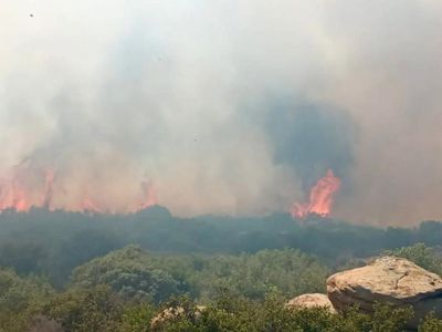 Son Dakika! Çanakkale'de korkutan orman yangını! Ekipler seferber oldu!