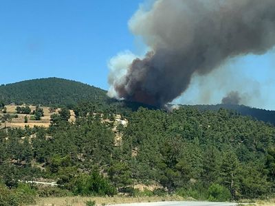 Son Dakika! Çanakkale'de korkutan orman yangını! Ekipler seferber oldu!