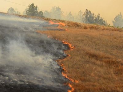 Son Dakika: Didim'de Yangına Müdahale Eden Uçak Göle Düştü!