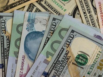 Son Dakika, Döviz Kurlarının Ani Değişimleri Sonucunda Bankalar İşlemleri Durdurdu!