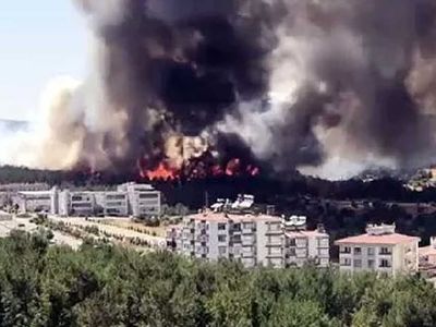 Son dakika! Gaziantep'te korkutan orman yangını: Ekipler seferber oldu