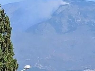 Son Dakika: Hatay'da Orman Yangını Paniğe Neden Oldu!