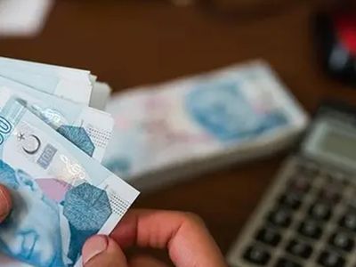Son Dakika! Hibe Desteği Ödemeleri Yarın Başlıyor