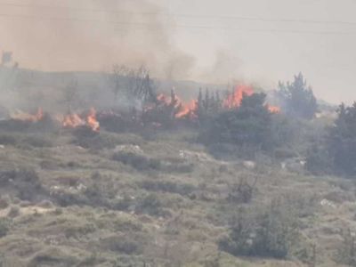 Son dakika: İzmir Çeşme'de orman yangını!