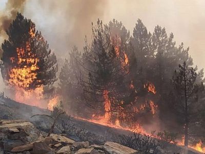 Son Dakika: Kahramanmaraş'ta Korkutan Orman Yangını Meydana Geldi
